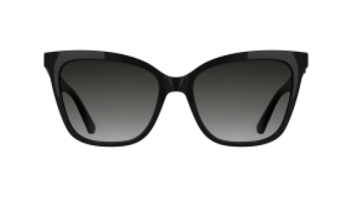 Karl Lagerfeld KL6223S 001
