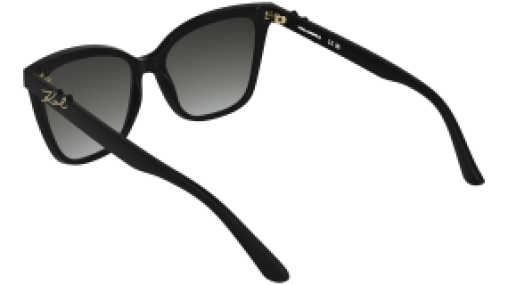 Karl Lagerfeld KL6223S 001
