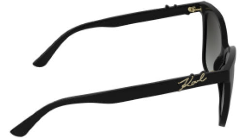 Karl Lagerfeld KL6223S 001