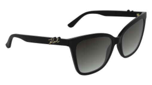 Karl Lagerfeld KL6223S 001