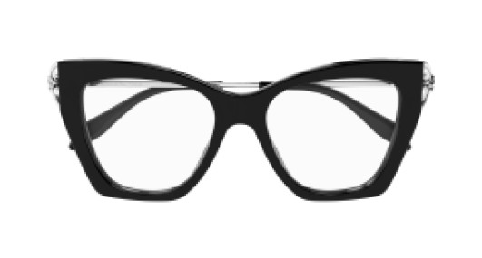 Alexander McQueen AM0376O 001
