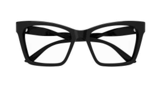 Balenciaga BA0210O 001