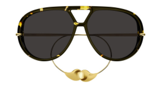 Bottega Veneta BTV1273S 005