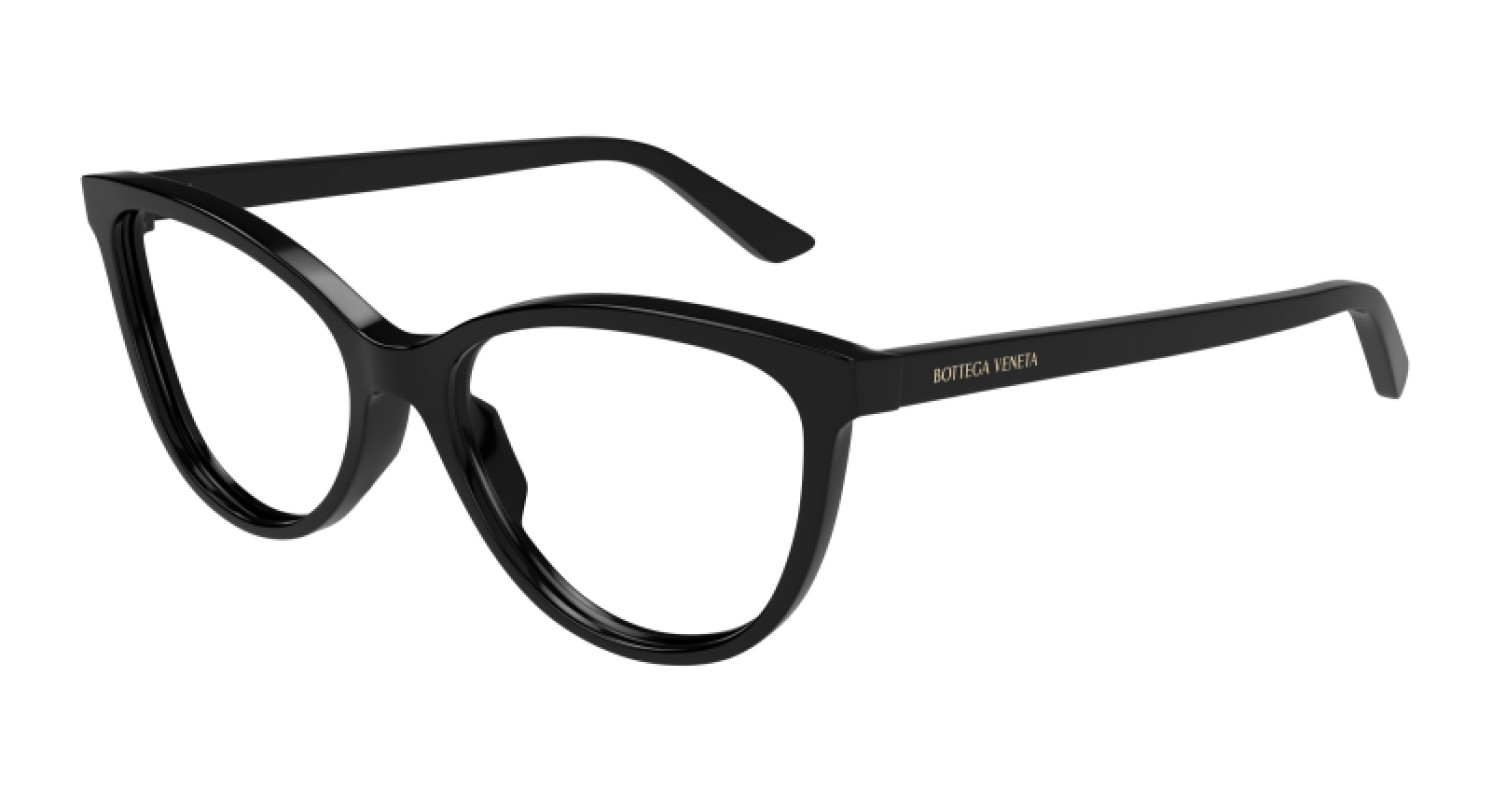 Bottega Veneta BTV1313O 006