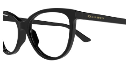 Bottega Veneta BTV1313O 006