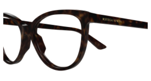Bottega Veneta BTV1313O 007