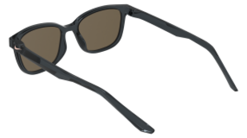Nike FLASH P IQ7241X 060