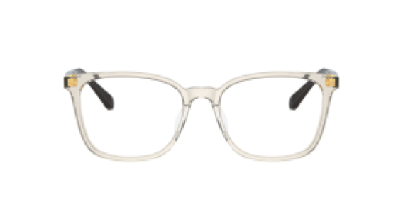 Vogue VO5399D 2998