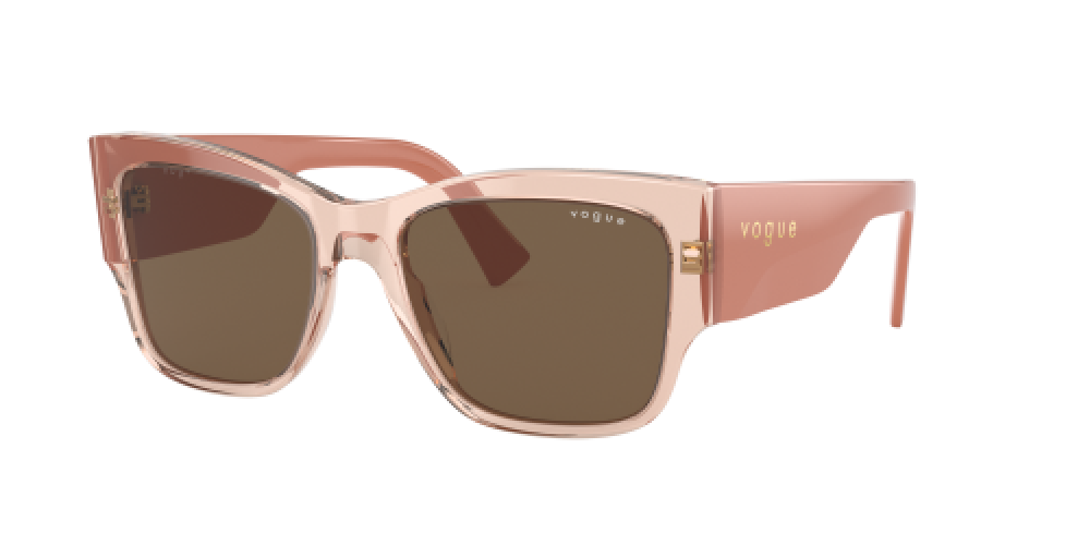 Vogue VO5462S 295473