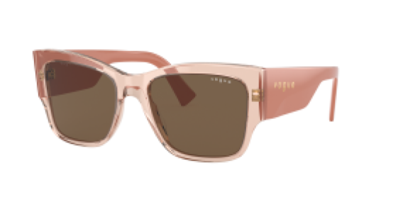 Vogue VO5462S 295473