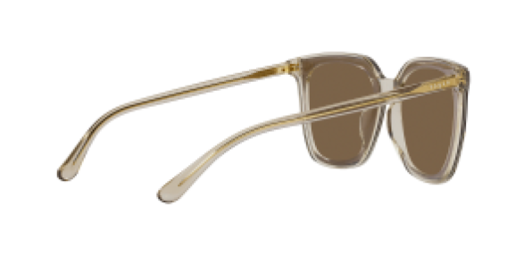 Vogue VO5499SD 299873