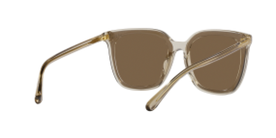 Vogue VO5499SD 299873