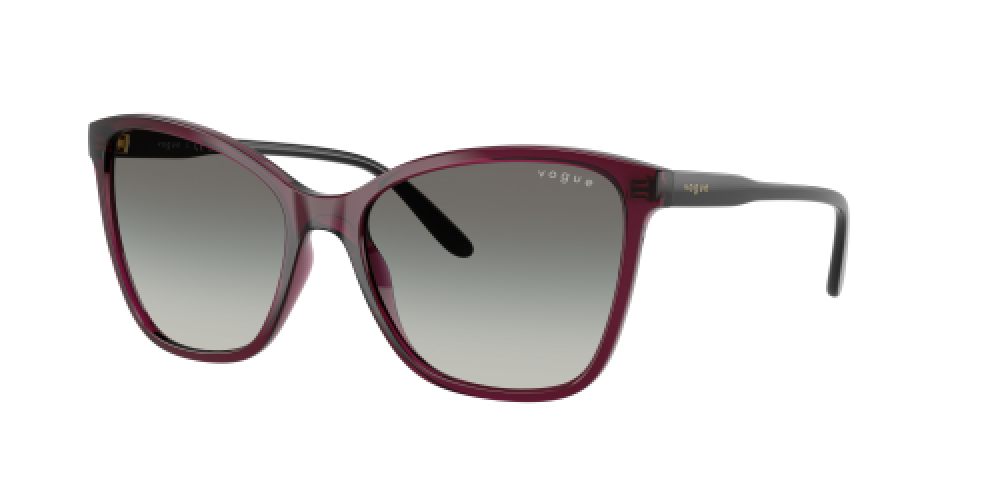 Vogue VO5520S 298911