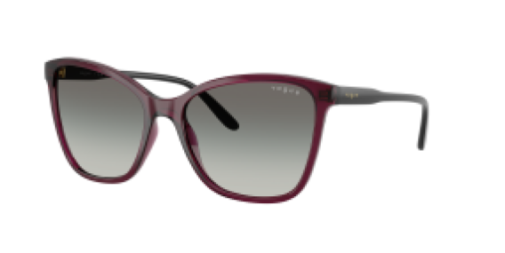 Vogue VO5520S 298911