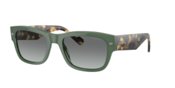 Vogue VO5530S 309211