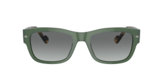 Vogue VO5530S 309211