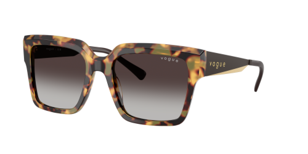 Vogue VO5553S 26058G