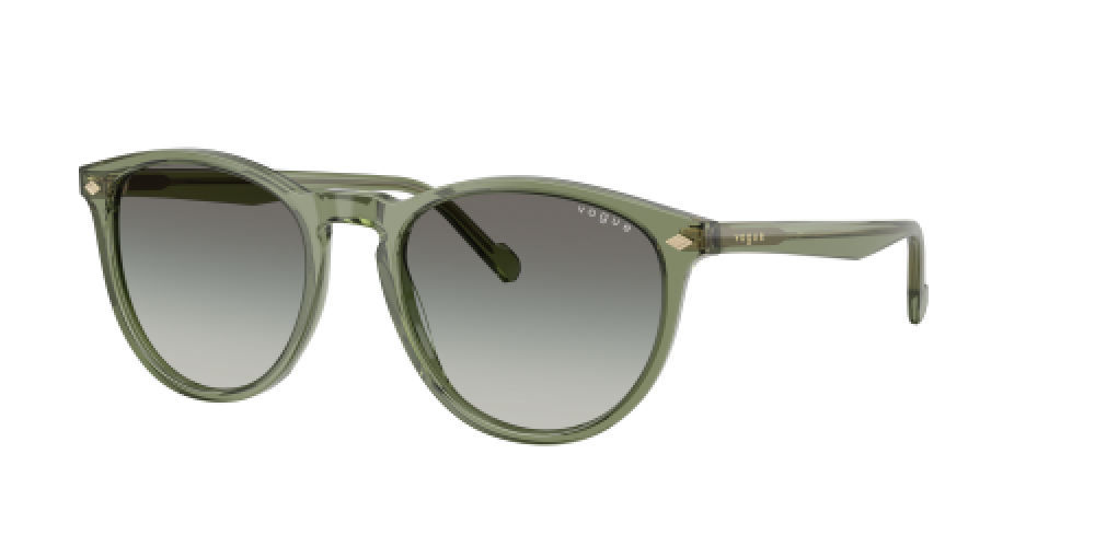 Vogue VO5599S 318711