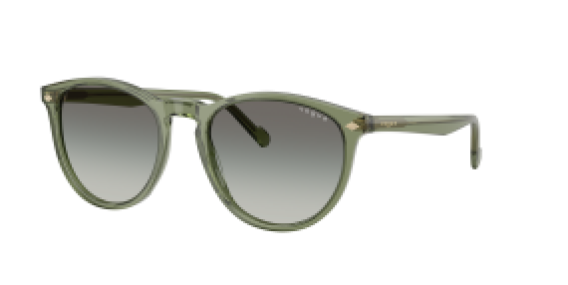 Vogue VO5599S 318711