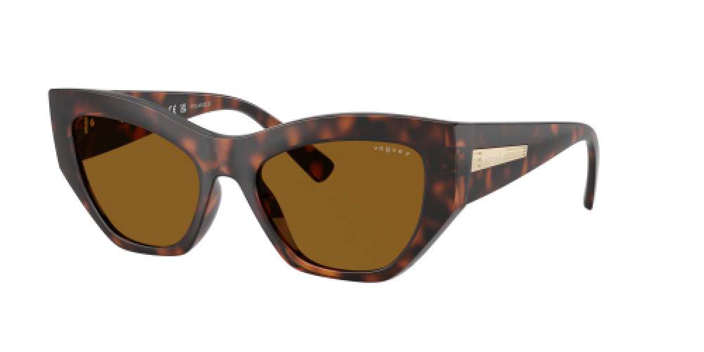 Vogue VO5607S 271883