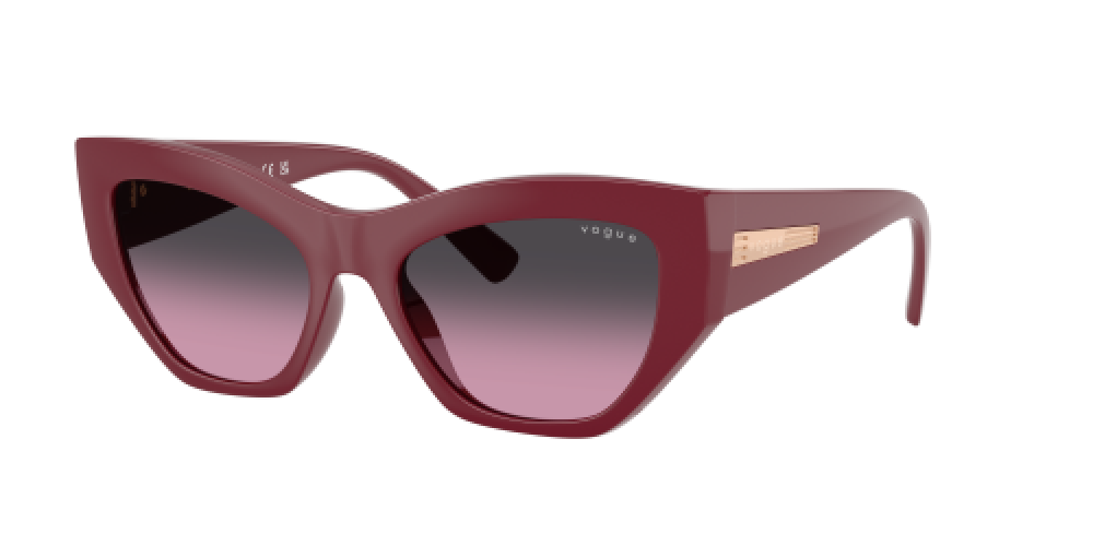 Vogue VO5607S 287590