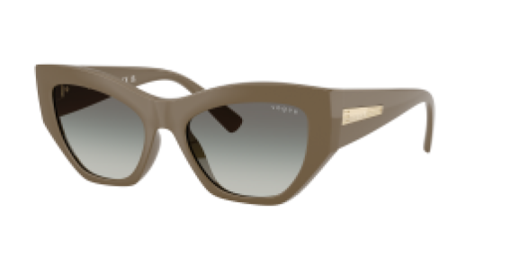 Vogue VO5607S 317511