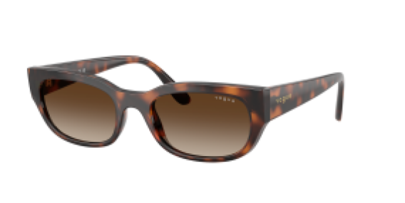 Vogue VO5669S 271813