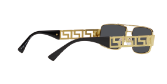 Versace VE2257 100287
