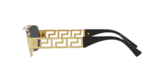 Versace VE2257 100287