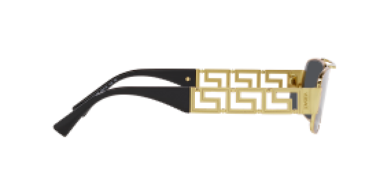 Versace VE2257 100287