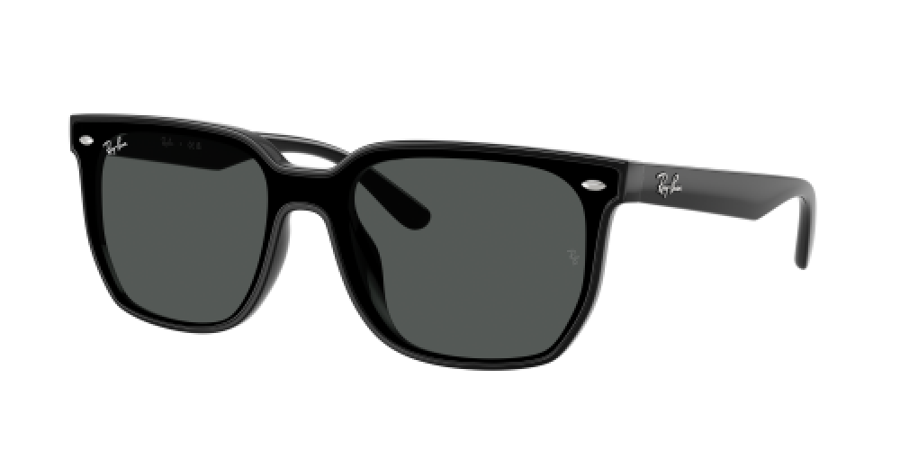 Ray-Ban RB4466D 601/87