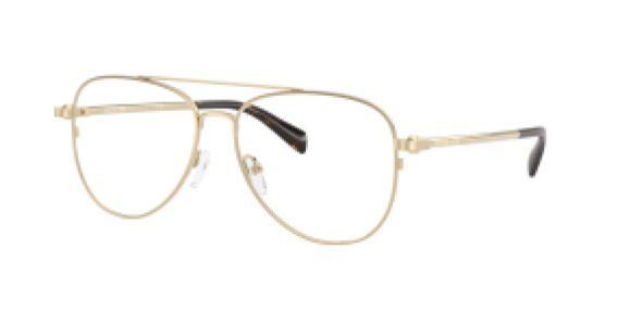 Michael Kors MK3089 1014