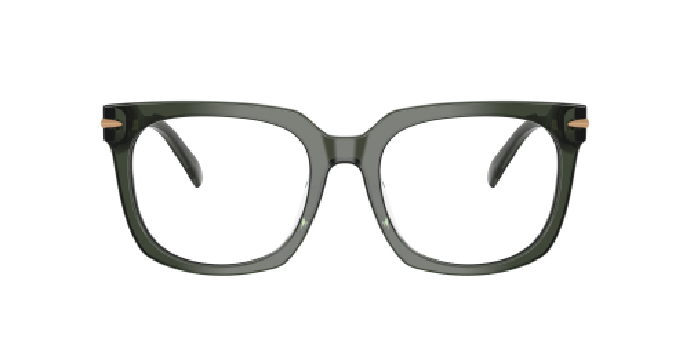 Michael Kors MK4176U 3961