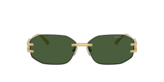 Versace VE2274 100271