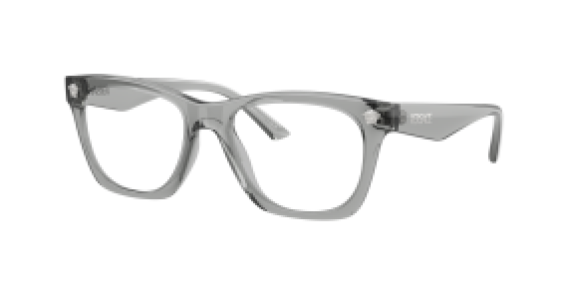 Versace VE3363U 5496