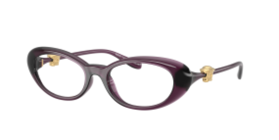 Versace VE3381U 5536