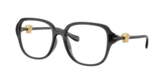 Versace VE3386D 5483