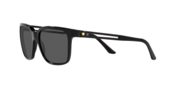 Versace VE4307 533287