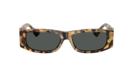 Versace VE4476U 777/87