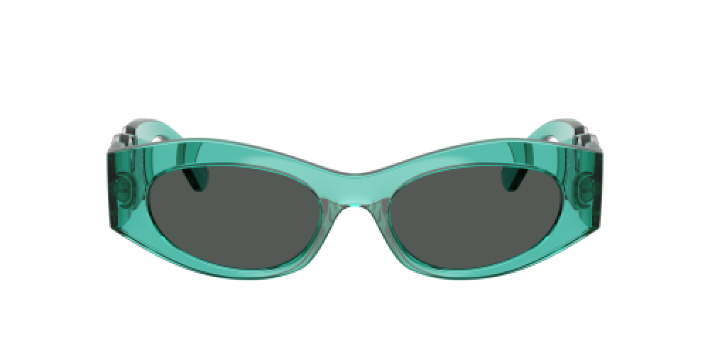 Versace VE4480U 552987