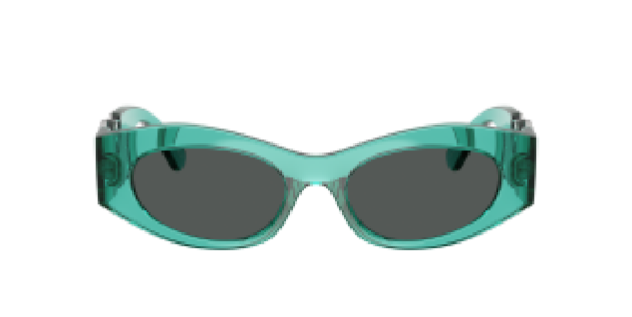 Versace VE4480U 552987