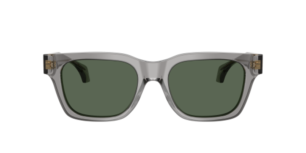 Versace VE4486 551071