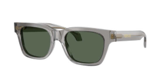 Versace VE4486 551071