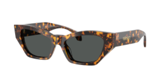 Versace VE4488U 551487