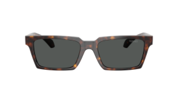 Versace VE4490U 108/87