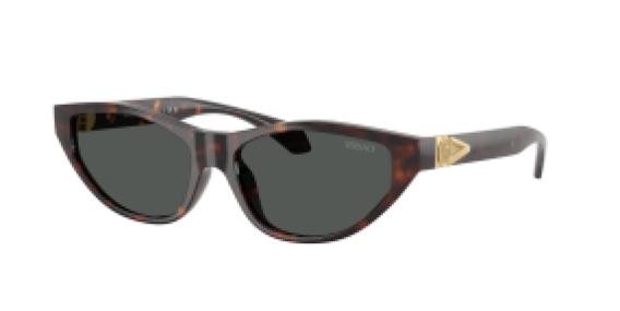 Versace VE4491U 108/87