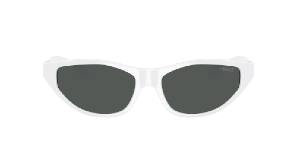 Versace VE4491U 314/87