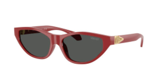 Versace VE4491U 538887