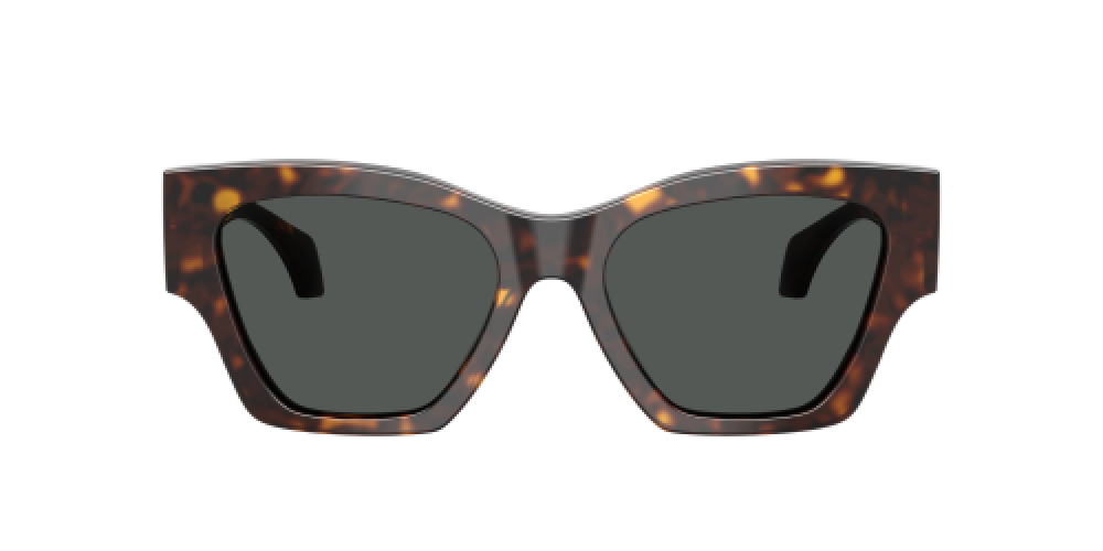 Versace VE4492U 108/87