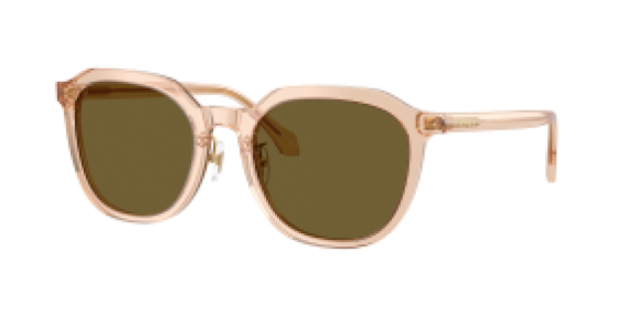 Versace VE4493D 551883